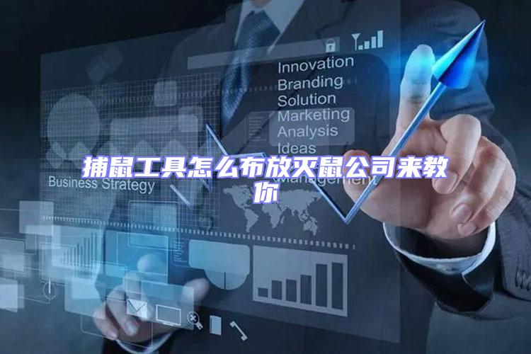 捕鼠工具怎么布放滅鼠公司來(lái)教你