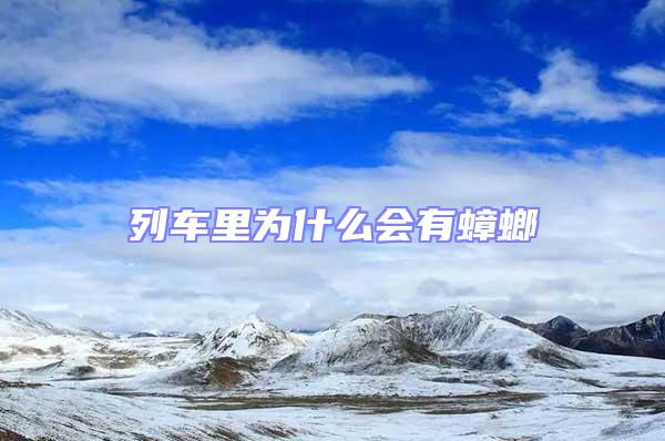 列車里為什么會有蟑螂
