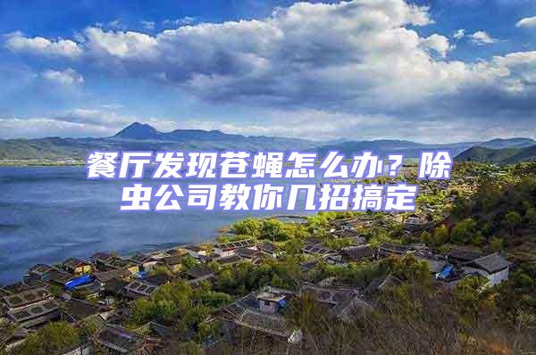 餐廳發現蒼蠅怎么辦？除蟲公司教你幾招搞定