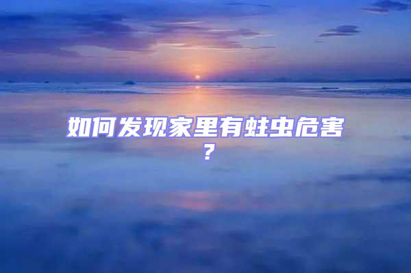 如何發現家里有蛀蟲危害？