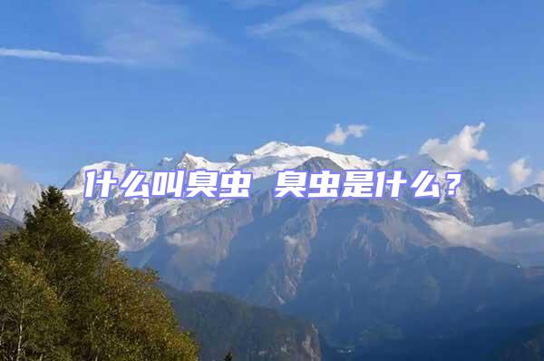 什么叫臭蟲 臭蟲是什么？