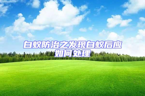 白蟻防治之發現白蟻后應如何處理