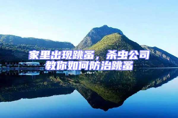家里出現跳蚤，殺蟲公司教你如何防治跳蚤