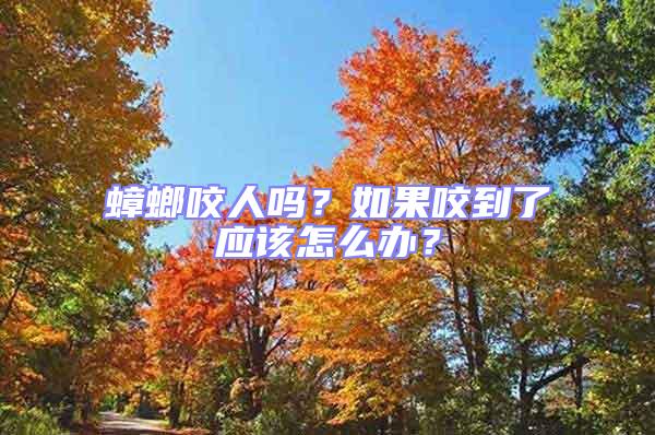 蟑螂咬人嗎？如果咬到了應該怎么辦？