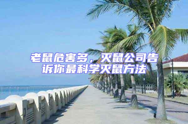 老鼠危害多，滅鼠公司告訴你最科學滅鼠方法