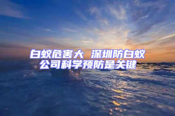 白蟻危害大 深圳防白蟻公司科學預防是關(guān)鍵
