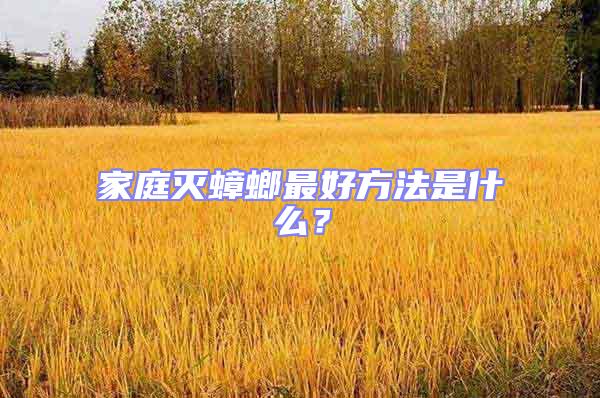 家庭滅蟑螂最好方法是什么？