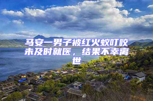 馬安一男子被紅火蟻叮咬未及時就醫，結果不幸離世