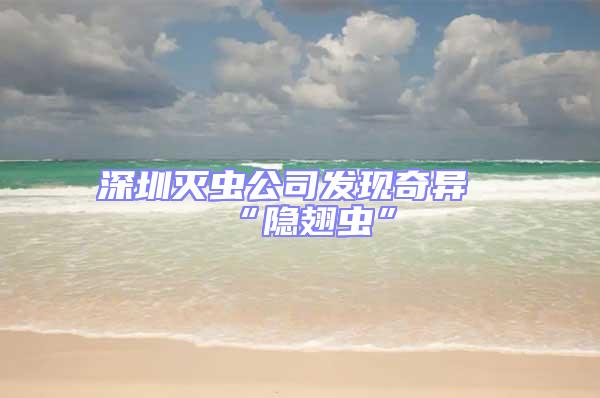 深圳滅蟲公司發現奇異“隱翅蟲”
