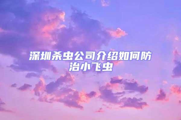 深圳殺蟲(chóng)公司介紹如何防治小飛蟲(chóng)