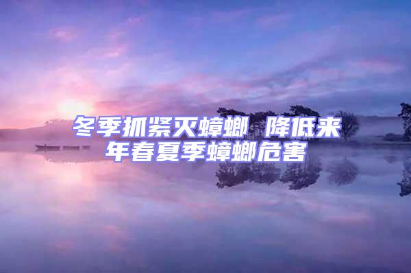 冬季抓緊滅蟑螂 降低來年春夏季蟑螂危害