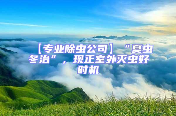 【專業除蟲公司】“夏蟲冬治”，現正室外滅蟲好時機