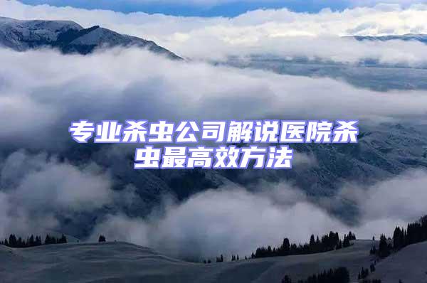 專業殺蟲公司解說醫院殺蟲最高效方法