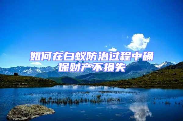 如何在白蟻防治過程中確保財產不損失
