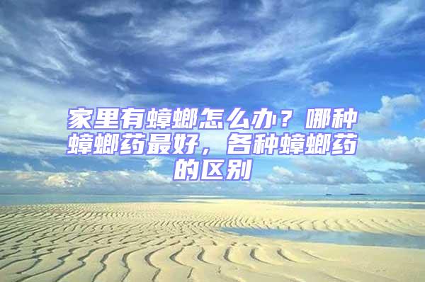 家里有蟑螂怎么辦？哪種蟑螂藥最好，各種蟑螂藥的區別