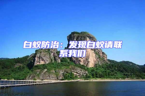 白蟻防治：發現白蟻請聯系我們