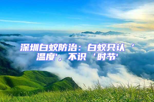 深圳白蟻防治：白蟻只認‘溫度'，不識‘時節'