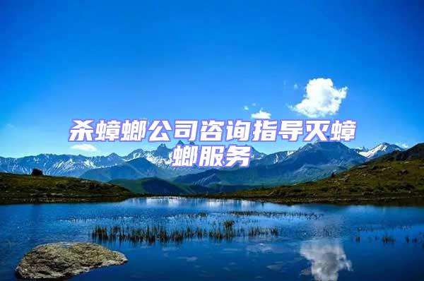 殺蟑螂公司咨詢指導滅蟑螂服務