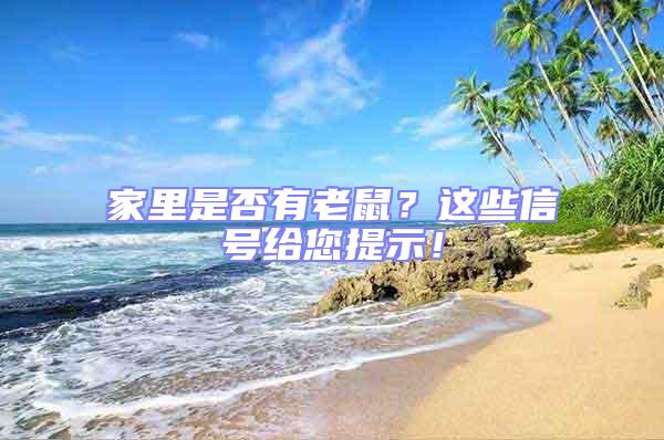 家里是否有老鼠？這些信號給您提示！