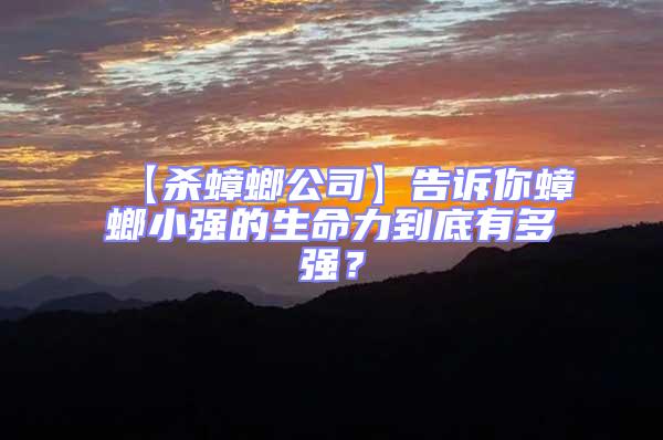 【殺蟑螂公司】告訴你蟑螂小強(qiáng)的生命力到底有多強(qiáng)？