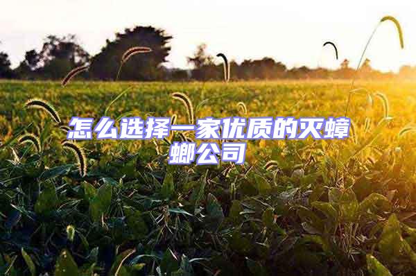 怎么選擇一家優質的滅蟑螂公司