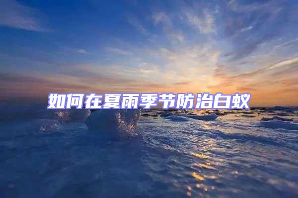 如何在夏雨季節防治白蟻