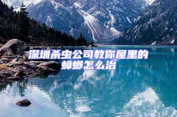 深圳殺蟲公司教你屋里的蟑螂怎么治