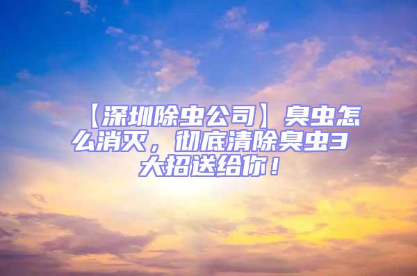 【深圳除蟲公司】臭蟲怎么消滅，徹底清除臭蟲3大招送給你！
