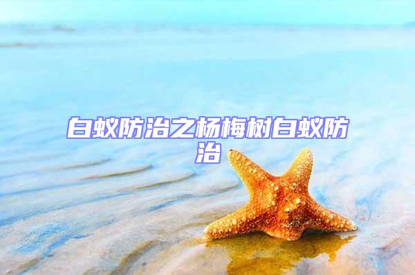 白蟻防治之楊梅樹白蟻防治