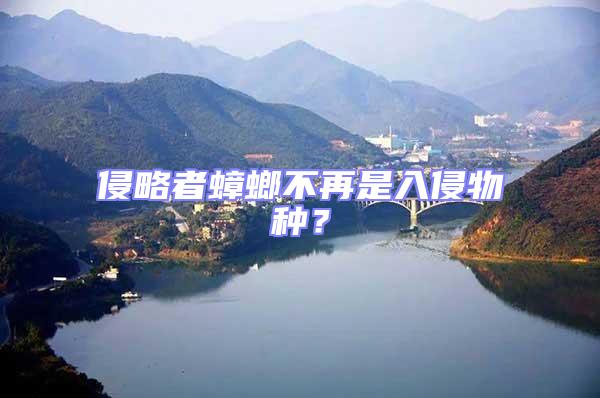 侵略者蟑螂不再是入侵物種？
