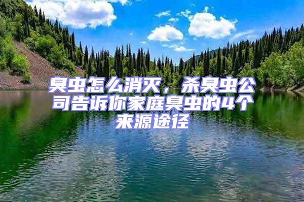 臭蟲怎么消滅，殺臭蟲公司告訴你家庭臭蟲的4個(gè)來源途徑