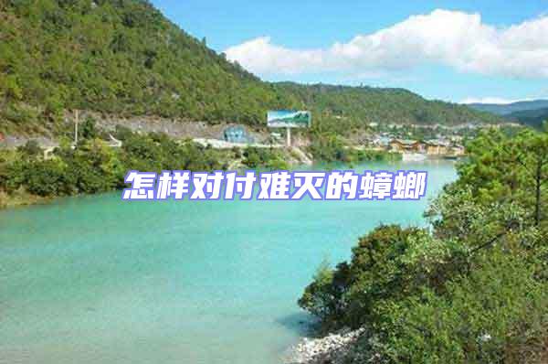 怎樣對付難滅的蟑螂