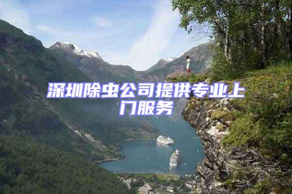 深圳除蟲公司提供專業上門服務