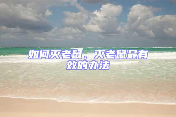 如何滅老鼠，滅老鼠最有效的辦法