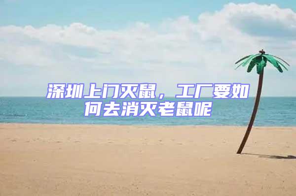 深圳上門滅鼠，工廠要如何去消滅老鼠呢