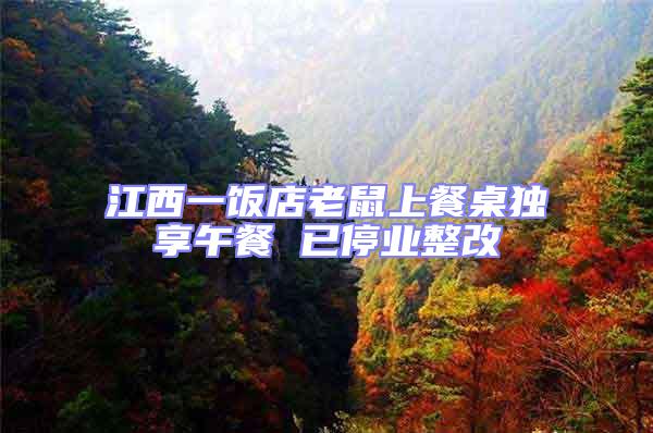 江西一飯店老鼠上餐桌獨(dú)享午餐 已停業(yè)整改