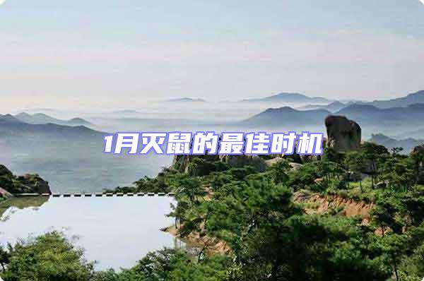 1月滅鼠的最佳時(shí)機(jī)