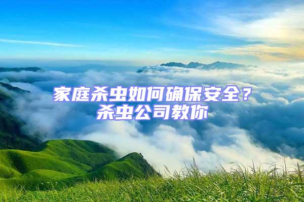 家庭殺蟲如何確保安全？殺蟲公司教你
