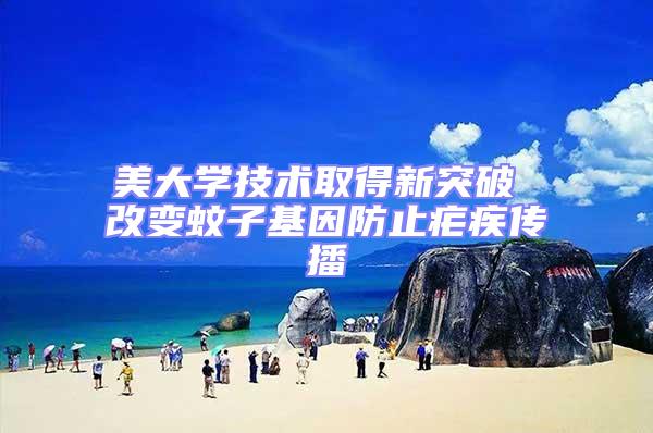 美大學技術取得新突破 改變蚊子基因防止瘧疾傳播