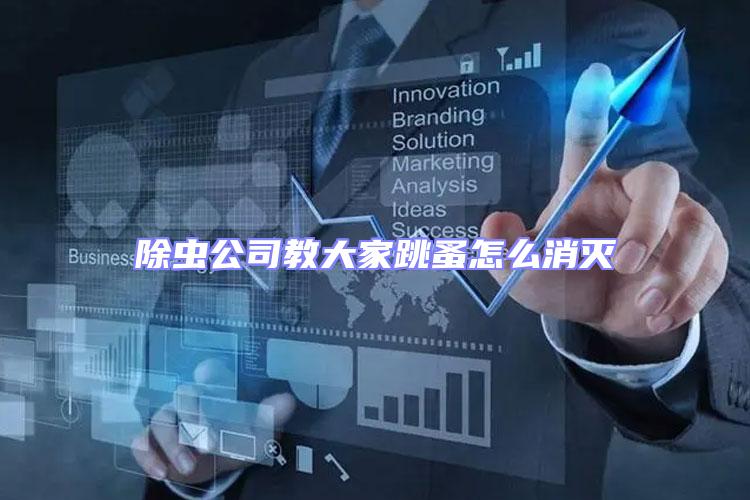 除蟲公司教大家跳蚤怎么消滅