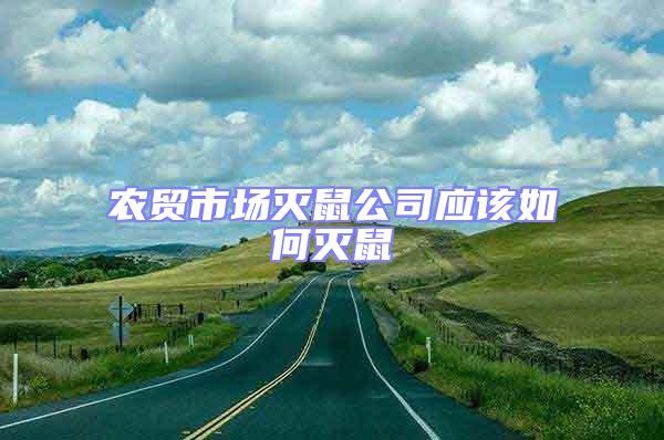 農(nóng)貿(mào)市場滅鼠公司應(yīng)該如何滅鼠