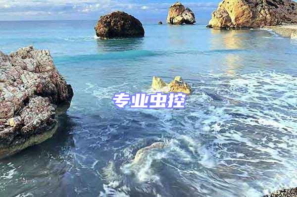 專業(yè)蟲控