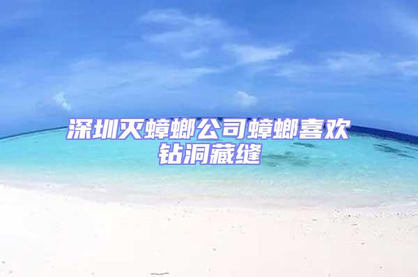 深圳滅蟑螂公司蟑螂喜歡鉆洞藏縫