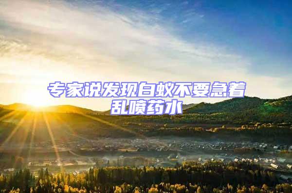 專家說發現白蟻不要急著亂噴藥水