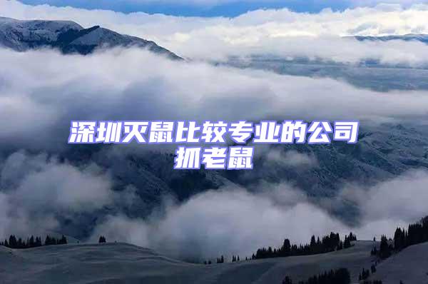 深圳滅鼠比較專業的公司抓老鼠