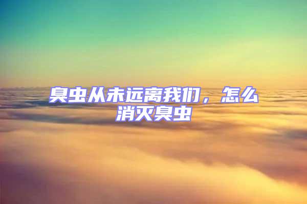 臭蟲從未遠離我們，怎么消滅臭蟲