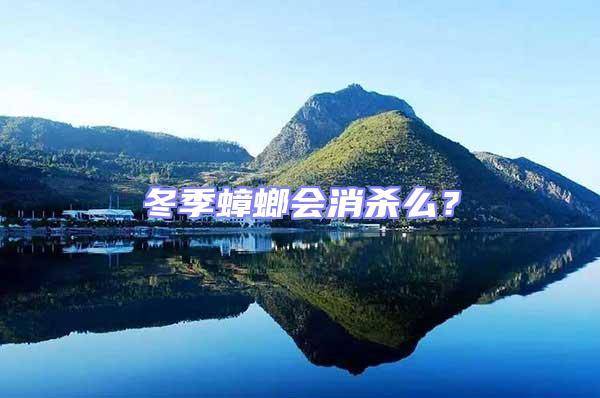 冬季蟑螂會消殺么？
