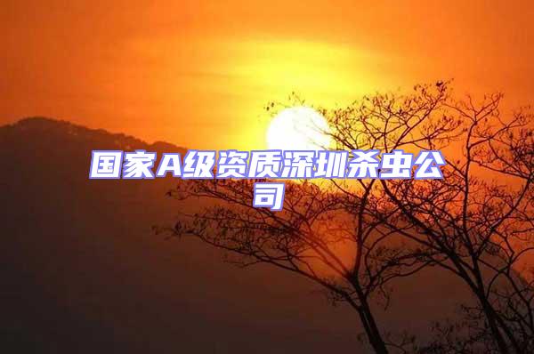 國家A級資質深圳殺蟲公司