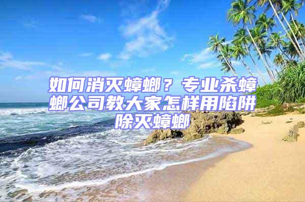 如何消滅蟑螂？專業(yè)殺蟑螂公司教大家怎樣用陷阱除滅蟑螂