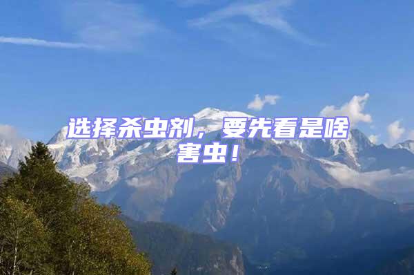 選擇殺蟲劑，要先看是啥害蟲！